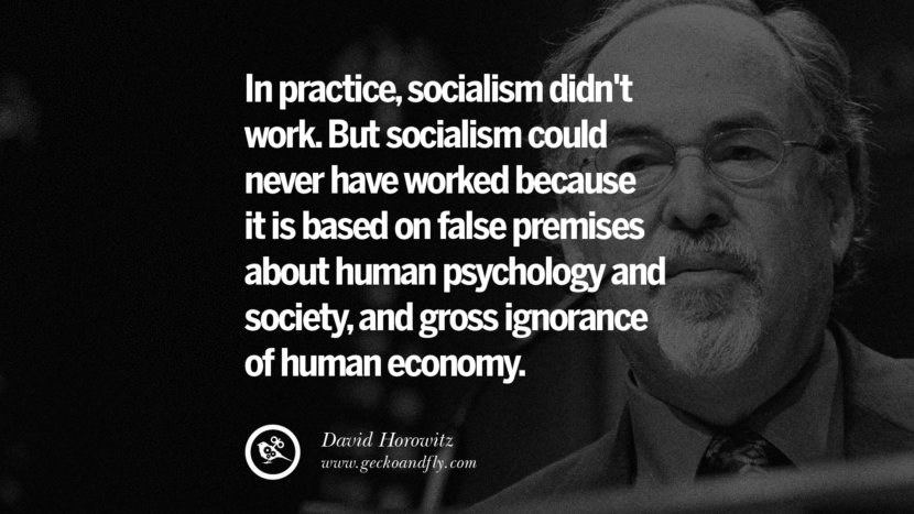 In practice, socialism didn't work. But socialism could never have worked because it is based on false premises about human psychology and society, and gross ignorance of human economy. - David Horowitz