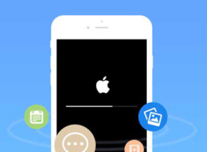Apple iOS Data Recovery For iPhone And iPad