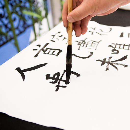 5 Chinese Handwriting Input Mandarin Character Recognition via Drawing