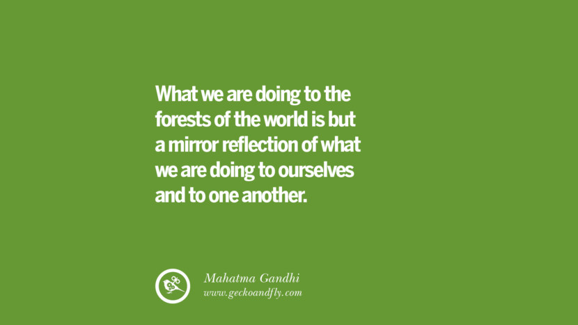 What they are doing to the forests of the world is but a mirror reflection of what they are doing to ourselves and to one another. – Mahatma Gandhi