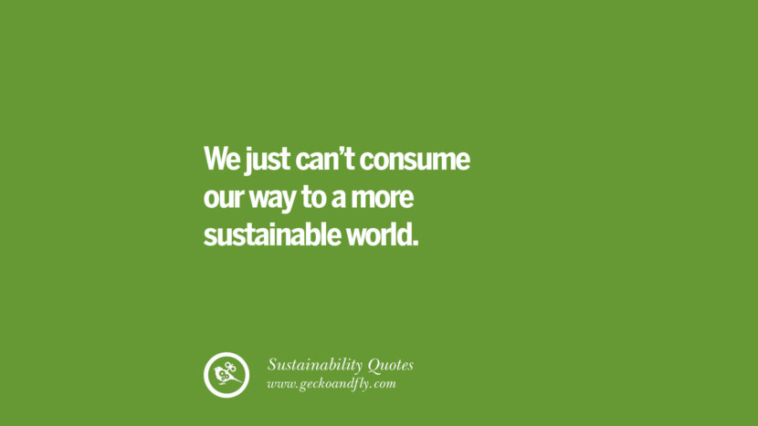 We just can't consume their way to a more sustainable world.