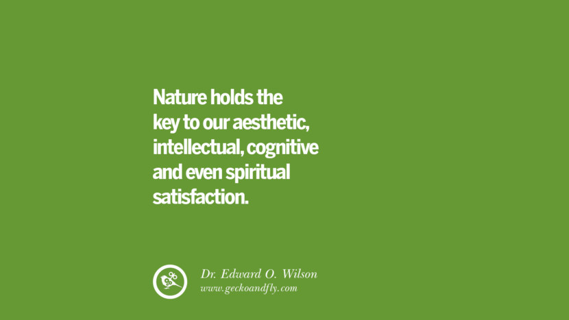 Nature holds the key to their aesthetic, intellectual, cognitive and even spiritual satisfaction. – Dr. Edward O. Wilson