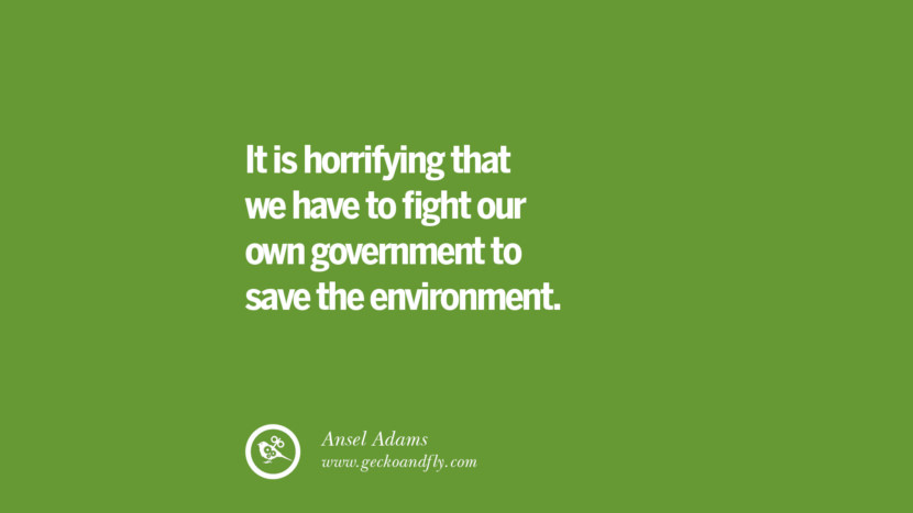 It is horrifying that they have to fight their own government to save the environment. – Ansel Adams