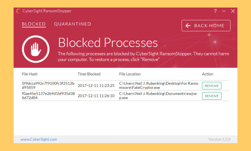 CyberSight RansomStopper