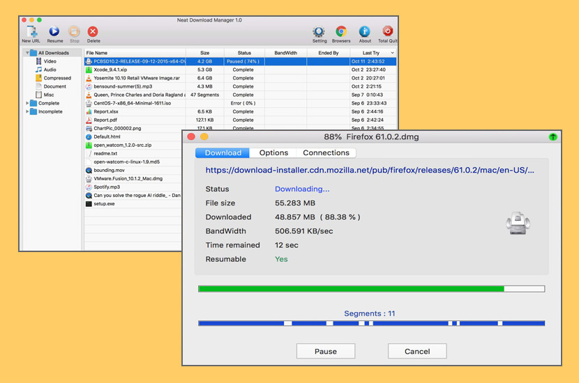Neat Download Manager