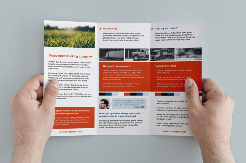 Trifold Brochure Template