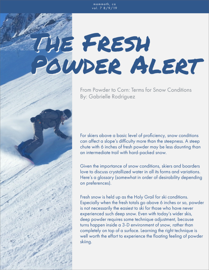 snow Screenshot of free printable newsletter template for school and communities