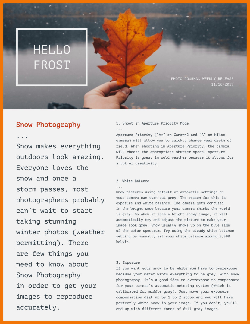 photography Screenshot of free printable newsletter template for school and communities