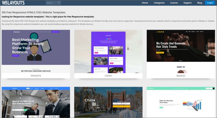 W3Layouts Free Professional HTML5 Responsive Templates