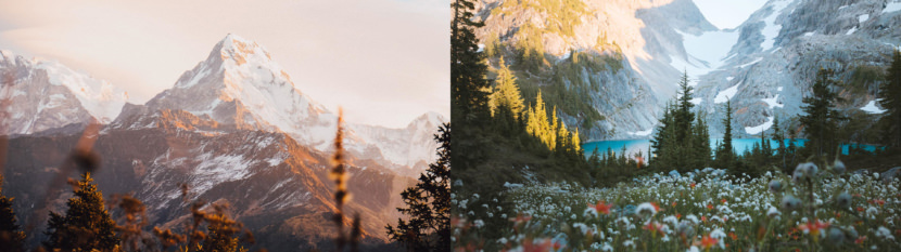 Winter & Summer Dual Screen Wallpaper
