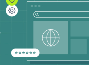 Enterprise Browser